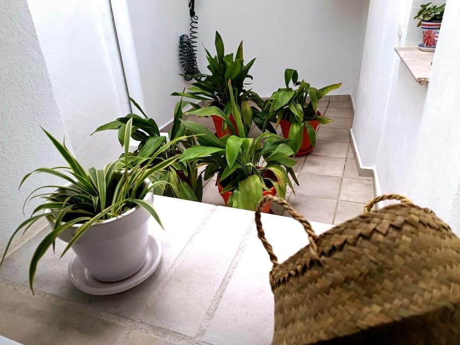 Apartamento Alberzana - Barrio Albaicin - גרנדה מראה חיצוני תמונה